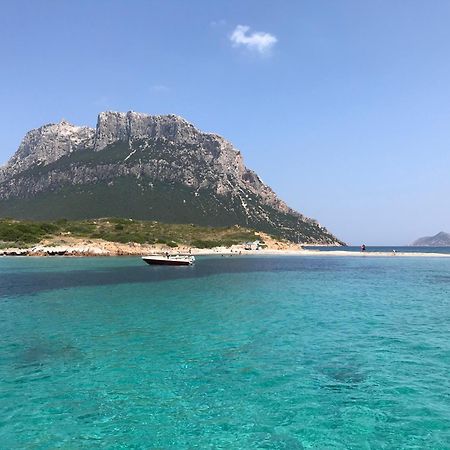 Villa Borea Golfo Aranci Exterior photo