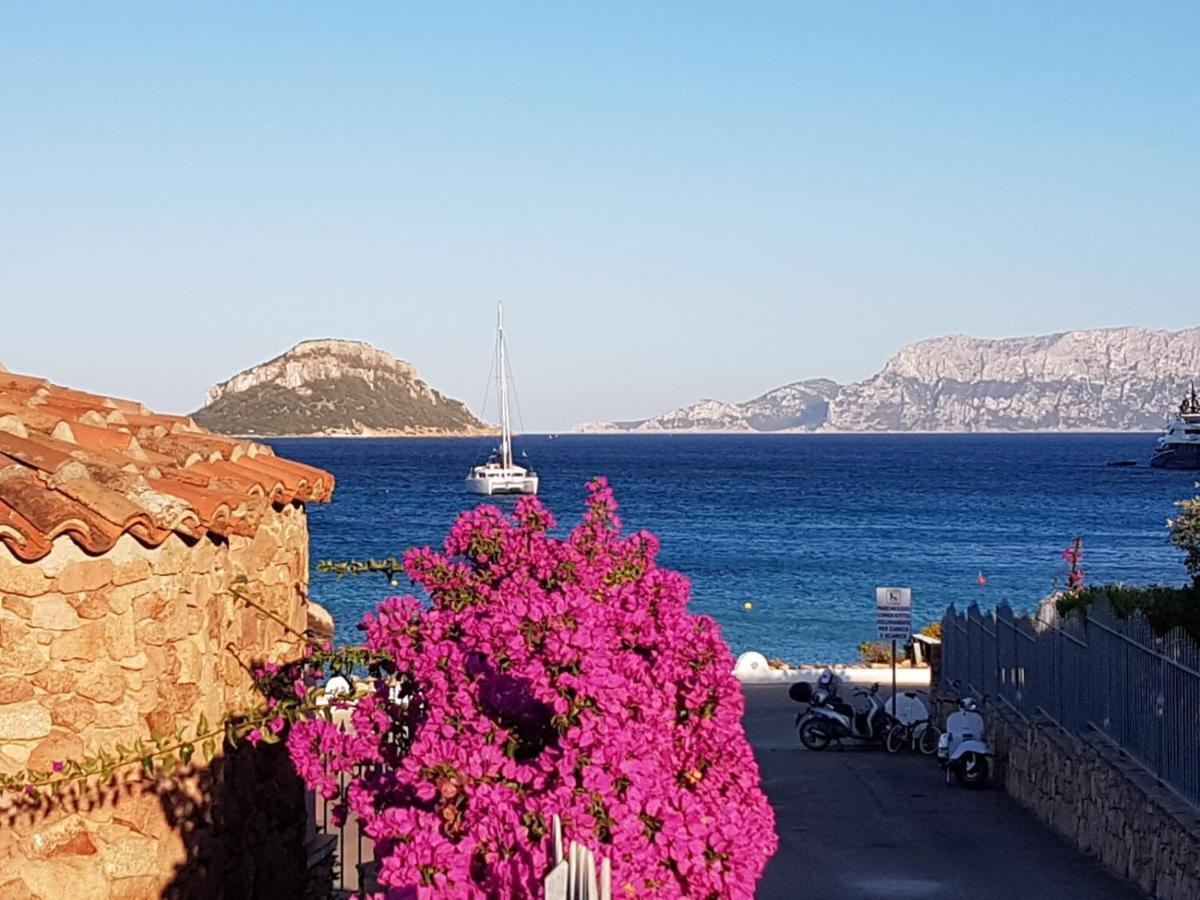 Villa Borea Golfo Aranci Exterior photo