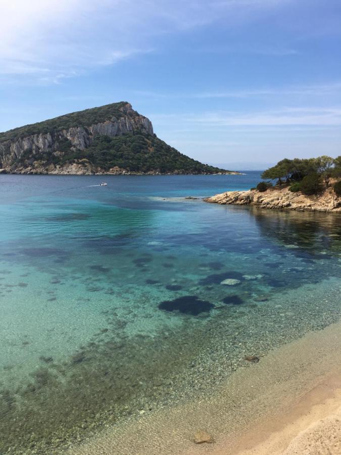 Villa Borea Golfo Aranci Exterior photo